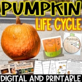 Pumpkin Life Cycle | Parts of a pumpkin | Activities and E