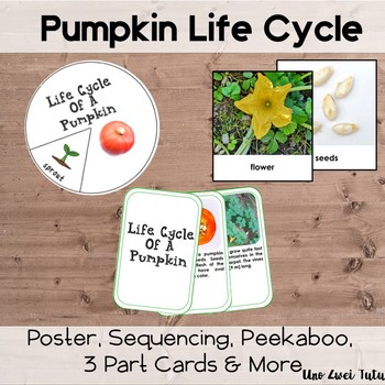 Preview of Pumpkin Life Cycle Pack With Real Photos Fall Montessori Preschool Science