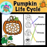 Pumpkin Life Cycle Packet