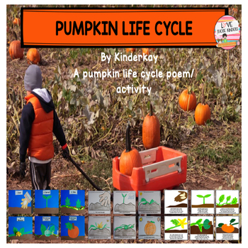 Preview of Pumpkin Life Cycle - Let's Make a Book