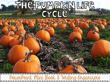 Preview of Pumpkin Life Cycle {PowerPoint, Mini Book, & Writing Organizers}