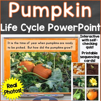 Preview of Pumpkin Life Cycle PowerPoint w/ Real Photos, Interactive Quiz, Sequencing Cards
