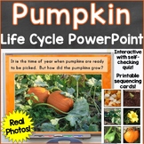 Pumpkin Life Cycle PowerPoint w/ Real Photos, Interactive 