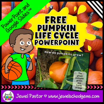 Preview of Pumpkin Life Cycle PowerPoint with Google™ Slides Version FREE