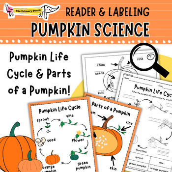 Preview of Pumpkin Life Cycle Printable Reader, Posters, & Science Activities for K-2