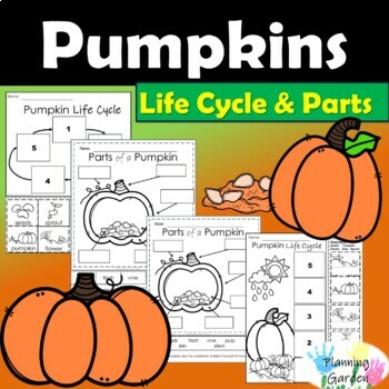 Preview of Pumpkin Life Cycle & Pumpkin Labeling Parts