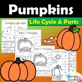 Pumpkin Life Cycle & Pumpkin Labeling Parts