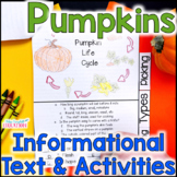 Pumpkin Life Cycle - Pumpkin Reading Comprehension - Fall 