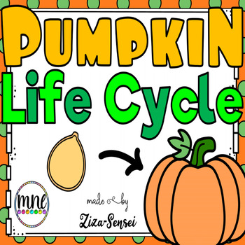 Preview of Pumpkin Life Cycle Flip Book Included 2nd Grade