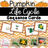 Pumpkin Life Cycle Sequencing Cards Fall Activity- Illustr