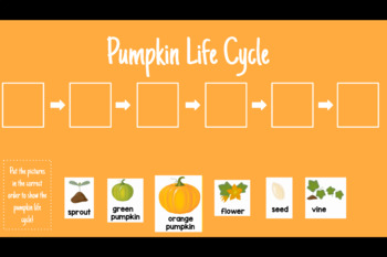 Preview of Pumpkin Life Cycle Sequence- Virtual/Digital