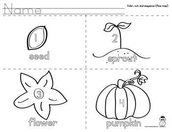 Download Pumpkin Life Cycle Sequencing by Professor Wise Owl | TpT
