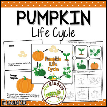 Preview of Pumpkin Life Cycle | Fall Science | Preschool Pre-K