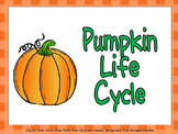 Pumpkin Life Cycle Shared Reading PowerPoint- Kindergarten