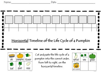 Preview of Pumpkin Life Cycle Timeline