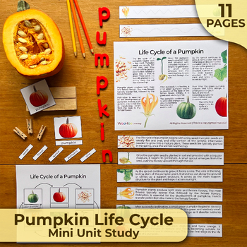Preview of Pumpkin Life Cycle Unit Study, Life Cycle of a Pumpkin Bundle, Life Cycle Unit