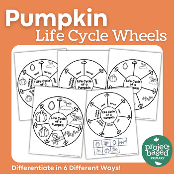 Preview of Pumpkin Life Cycle Wheels