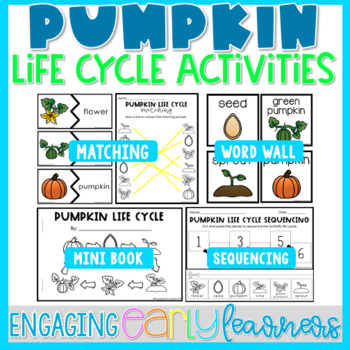 Preview of Pumpkin Life Cycle Word Wall & Activities | Preschool PreK Kindergarten