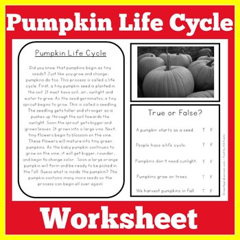 Pumpkin Life Cycle Worksheet by Green Apple Lessons | TpT