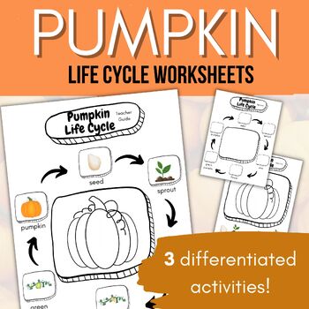 Pumpkin Life Cycle Worksheet with Differentiated Activities | TPT