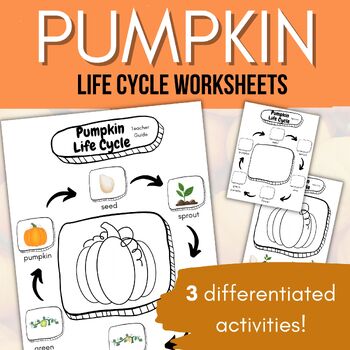 Preview of Pumpkin Life Cycle Worksheet with Differentiated Activities