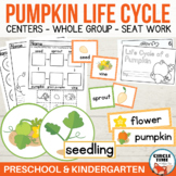 Pumpkin Life Cycle Worksheets Kindergarten Preschool Mini 