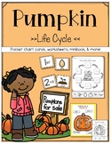 Pumpkin Life Cycle and Parts of a pumpkin
