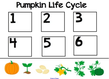 Pumpkin Life Cycle for SMARTboard by Leigh Majer Smart Kinder Kids