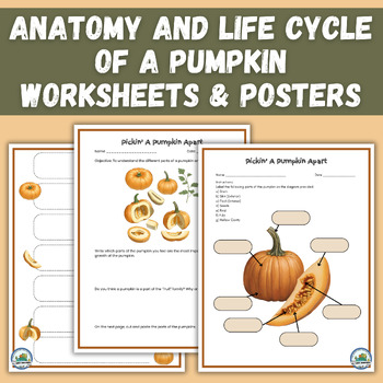 Preview of Pumpkin Life Cycle & the Parts of Pumpkins