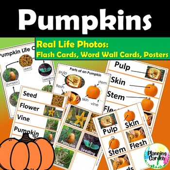 Preview of Pumpkin Life and Parts: Real Life Photos Cards, Word Wall, Posters {Life Cycle}