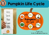 Pumpkin Life cycle