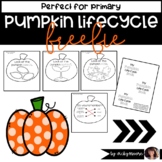 Pumpkin Life Cycle Craft | Pumpkin Lifecycle Freebie