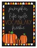 Pumpkin Lifecycle Vocabulary