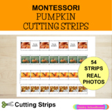 Pumpkin Cutting Strips - Scissor Practice