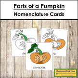 Parts Of A Pumpkin 3-Part Cards - Montessori Nomenclature