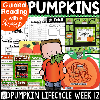 Preview of Pumpkin Unit Book Study Reading Comprehension Lifecycle, Spookley, & More