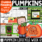 Pumpkin Unit Book Study Reading Comprehension Lifecycle, S