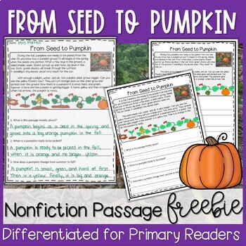 Preview of Halloween Pumpkin Nonfiction Passage FREEBIE