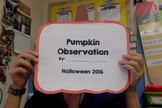Pumpkin Observation Booklet
