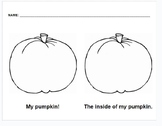 Pumpkin Observations