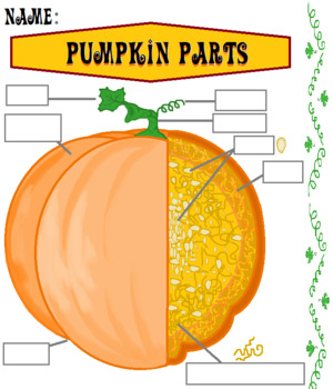 Preview of Pumpkin Parts Assessment Worksheet