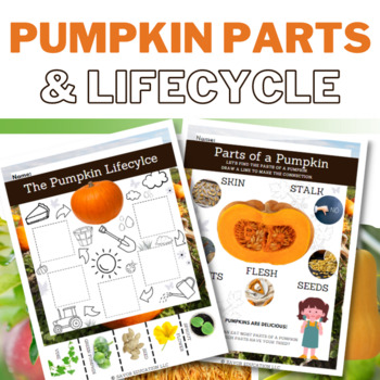 Preview of Pumpkin Parts and Lifecycle