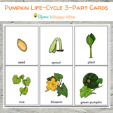 Pumpkin Parts and Life-Cycle 3-Part Cards