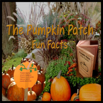 Preview of Pumpkin Patch Fun Facts ~ Foldable