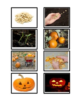 Preview of Pumpkin Patch Parable Science/Sequencing Activity