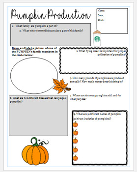 Preview of Pumpkin Production - Publisher File