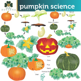 Pumpkin Science Clip Art