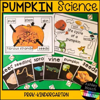 Pumpkin Science Activities for Preschool, Pre-K, Kindergarten, and