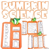 Pumpkin Science Interactive Activities