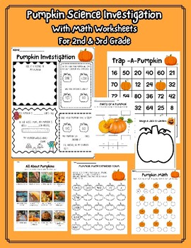 Preview of Pumpkin Science Investigation With Math Worksheets for 2nd & 3rd